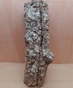 Medium Cork Tube - 40-60cm - 29