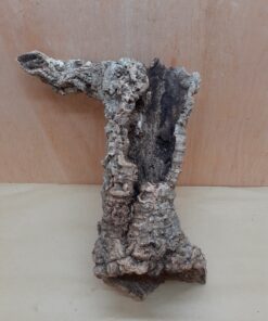 Medium Cork Tube - Upto 40cm - 10
