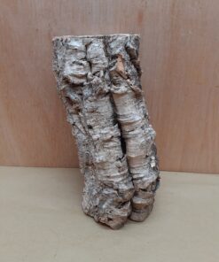 Medium Cork Tube - Upto 40cm - 12