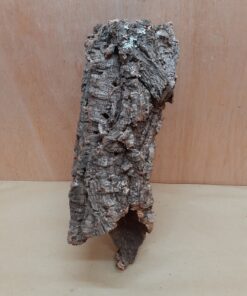 Medium Cork Tube - Upto 40cm - 17