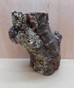 Medium Cork Tube - Upto 40cm - 19