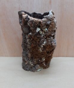 Medium Cork Tube - Upto 40cm - 20