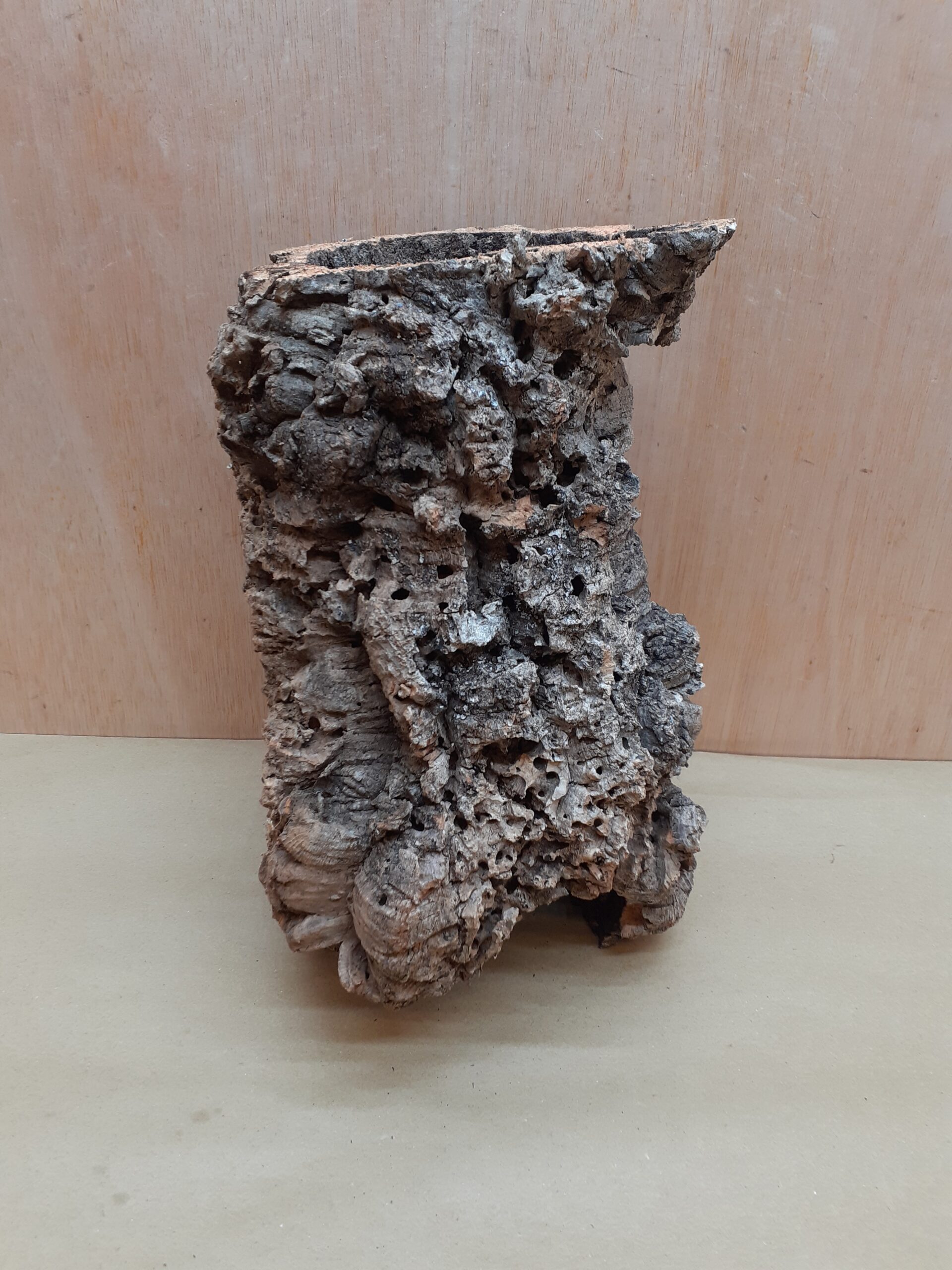 Medium Cork Tube - Upto 40cm - 28
