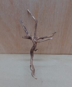 Moorwood - Small 1