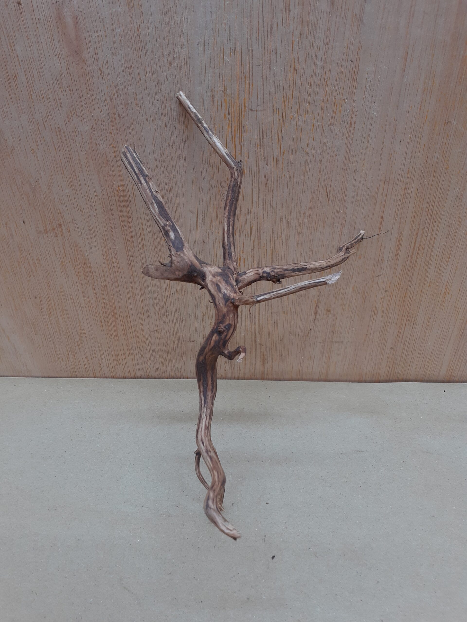 Moorwood - Small 1