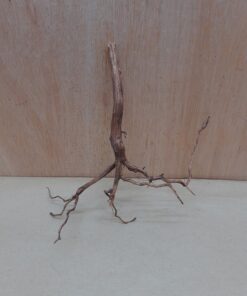 Moorwood - Small 19