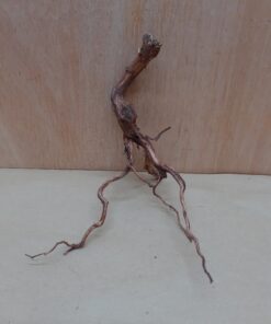 Moorwood - Small 2