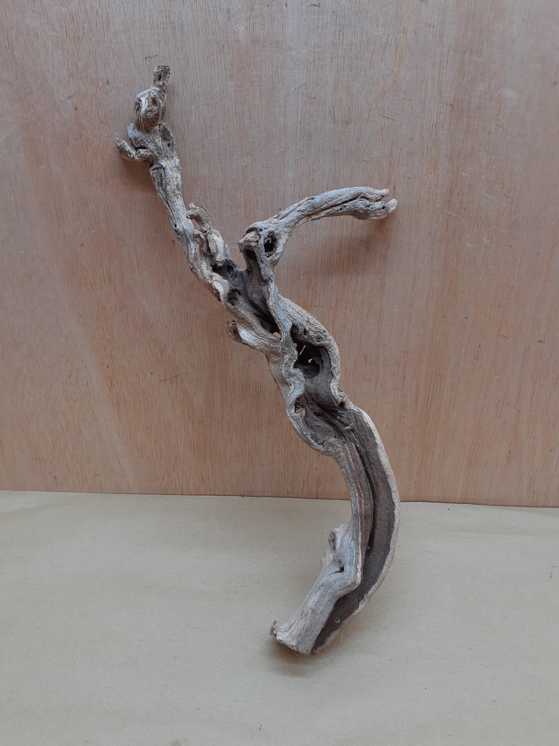 Sandblasted Grapevine - Medium 16