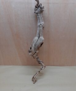 Sandblasted Grapevine - Medium 17