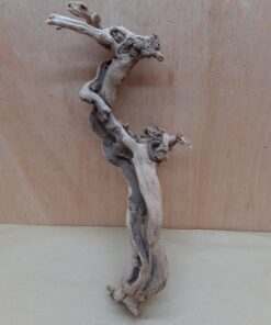 Sandblasted Grapevine - Small 20