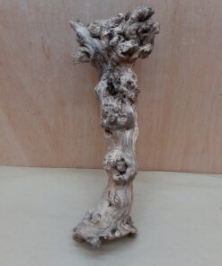 Sandblasted Grapevine - Small 19