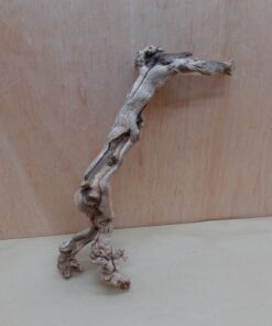 Sandblasted Grapevine - Small 15