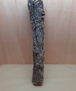 Small Cork Tube - 60-80cm - 17