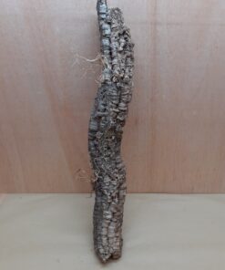 Small Cork Tube - 60-80cm - 19
