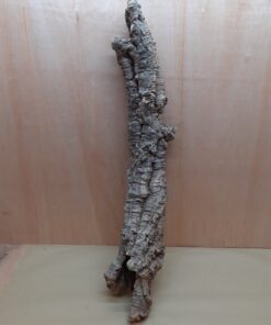 Small Cork Tube - 60-80cm - 20