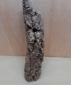 Small Cork Tube - 40-60cm - 1