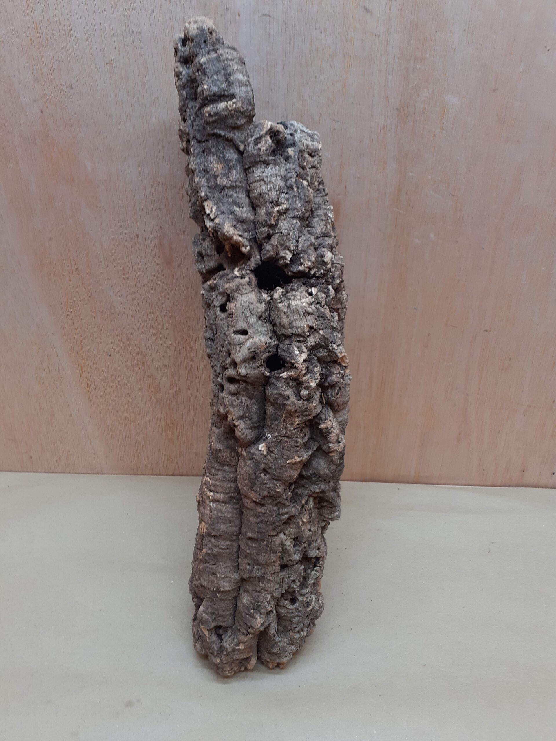 Small Cork Tube - 40-60cm - 1