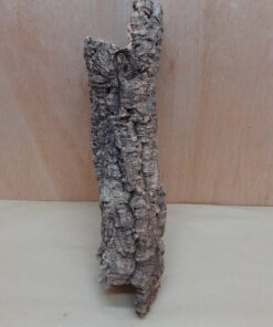 Small Cork Tube - 40-60cm - 12