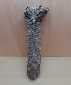 Small Cork Tube - 40-60cm - 16