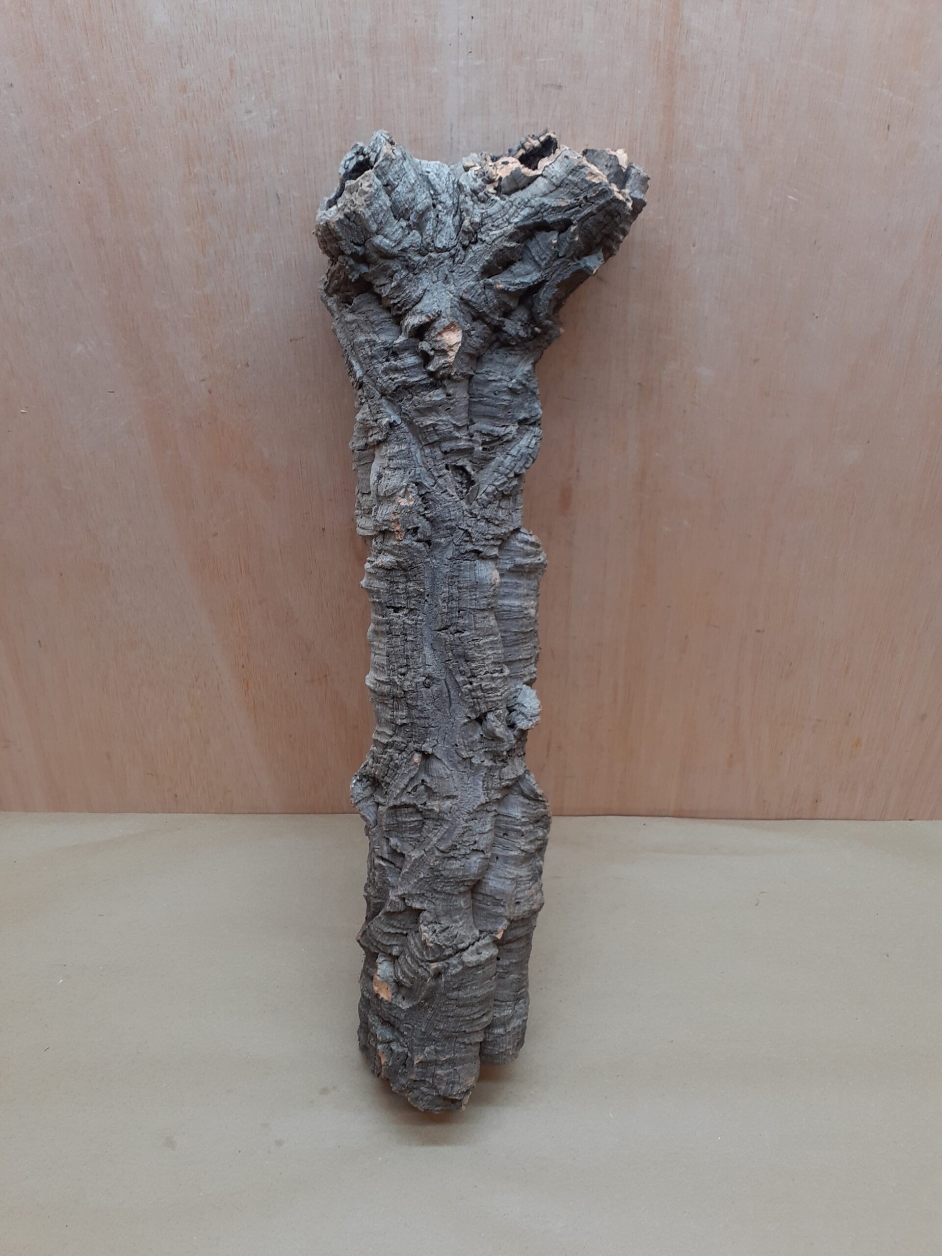 Small Cork Tube - 40-60cm - 16