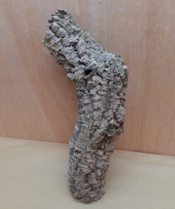 Small Cork Tube - 40-60cm - 18