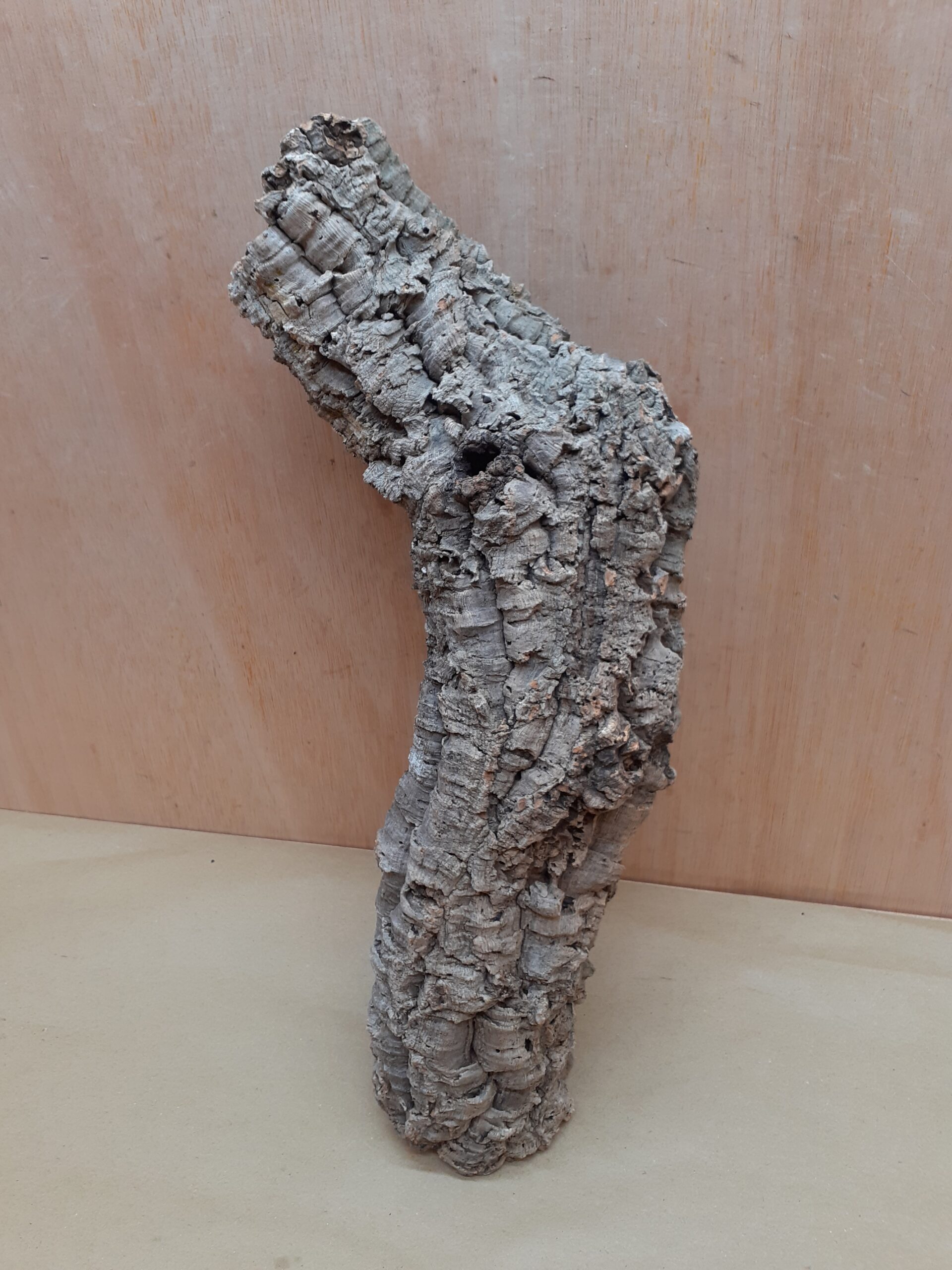 Small Cork Tube - 40-60cm - 18