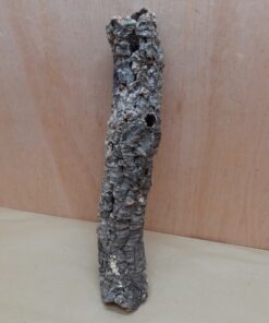 Small Cork Tube - 40-60cm - 2
