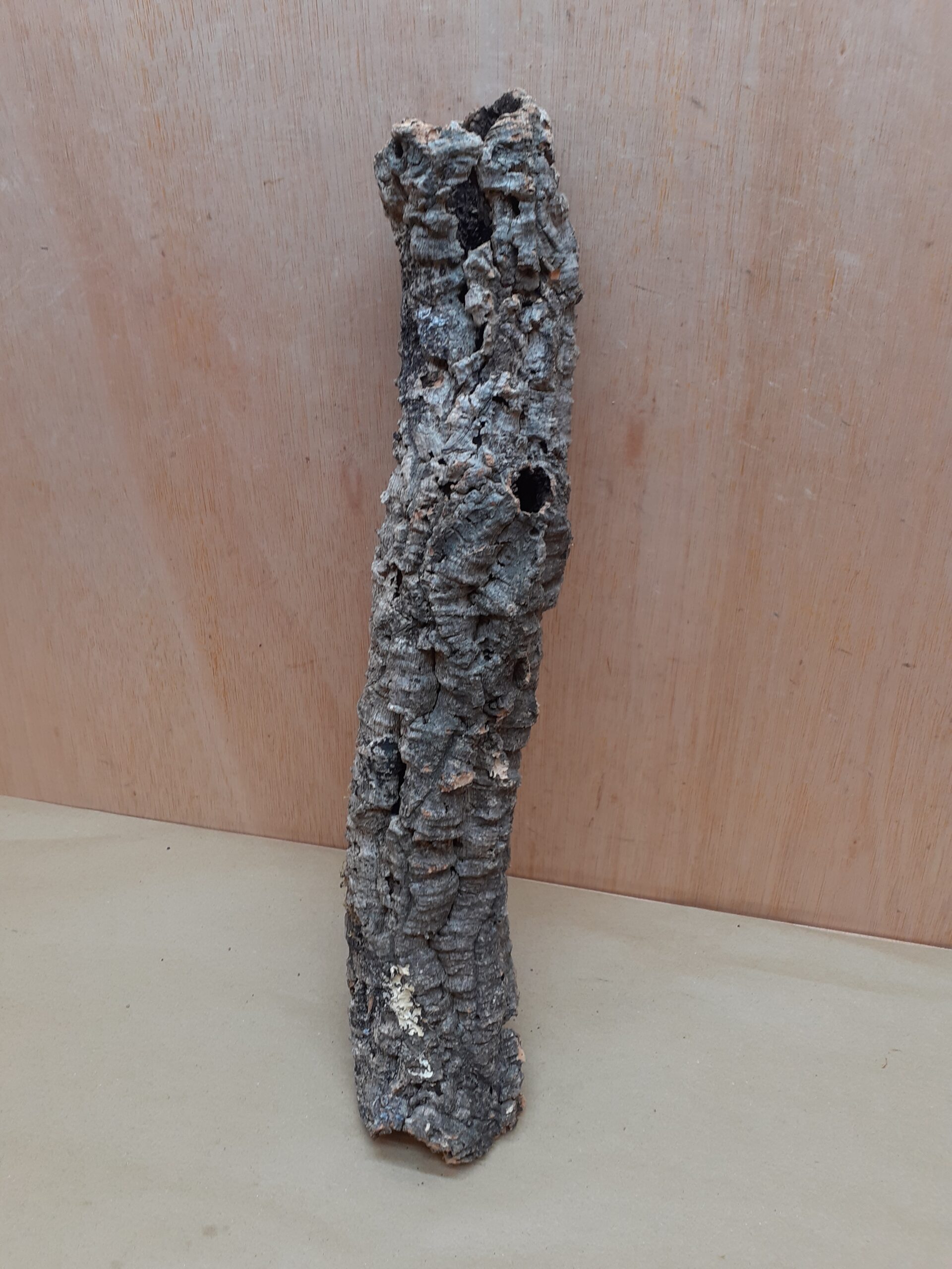 Small Cork Tube - 40-60cm - 2