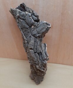 Small Cork Tube - 40-60cm - 24