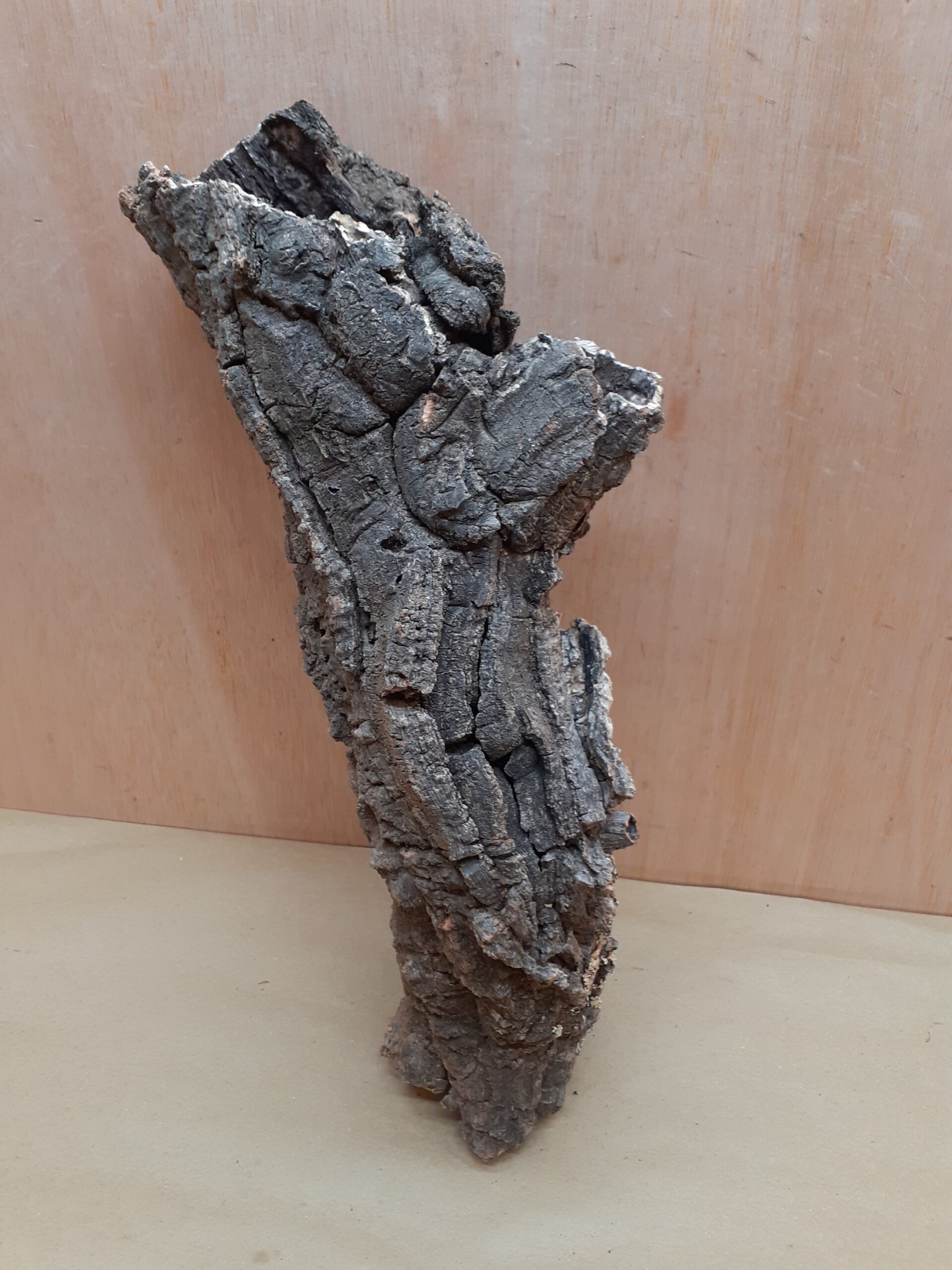 Small Cork Tube - 40-60cm - 24