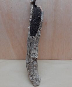 Small Cork Tube - 40-60cm - 3