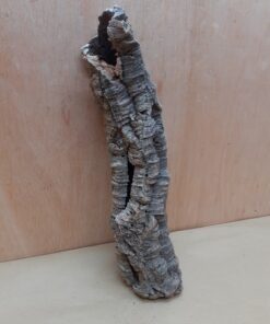 Small Cork Tube - 40-60cm - 6