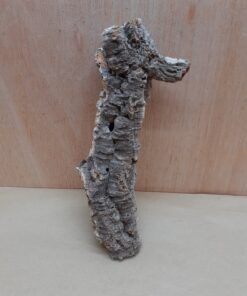 Small Cork Tube - Upto 40cm - 19