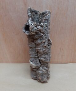 Small Cork Tube - Upto 40cm - 22