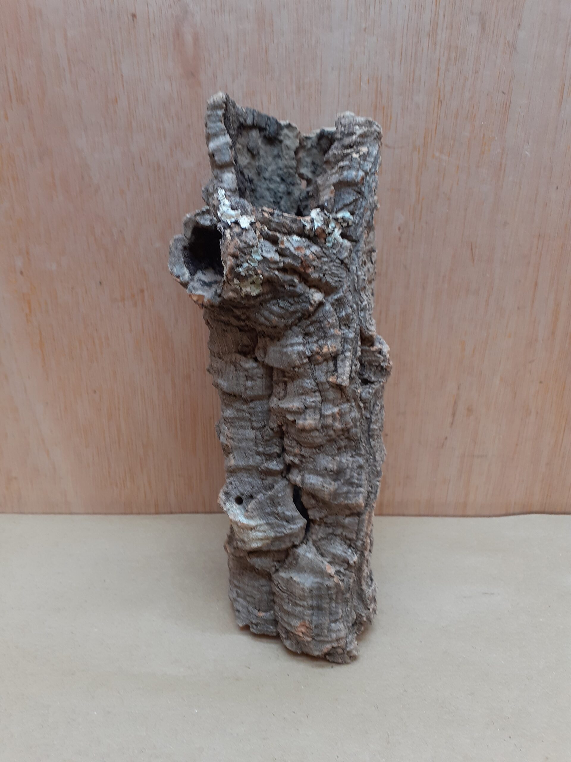 Small Cork Tube - Upto 40cm - 22