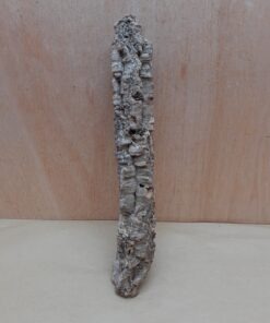Small Cork Tube - Upto 40cm - 29