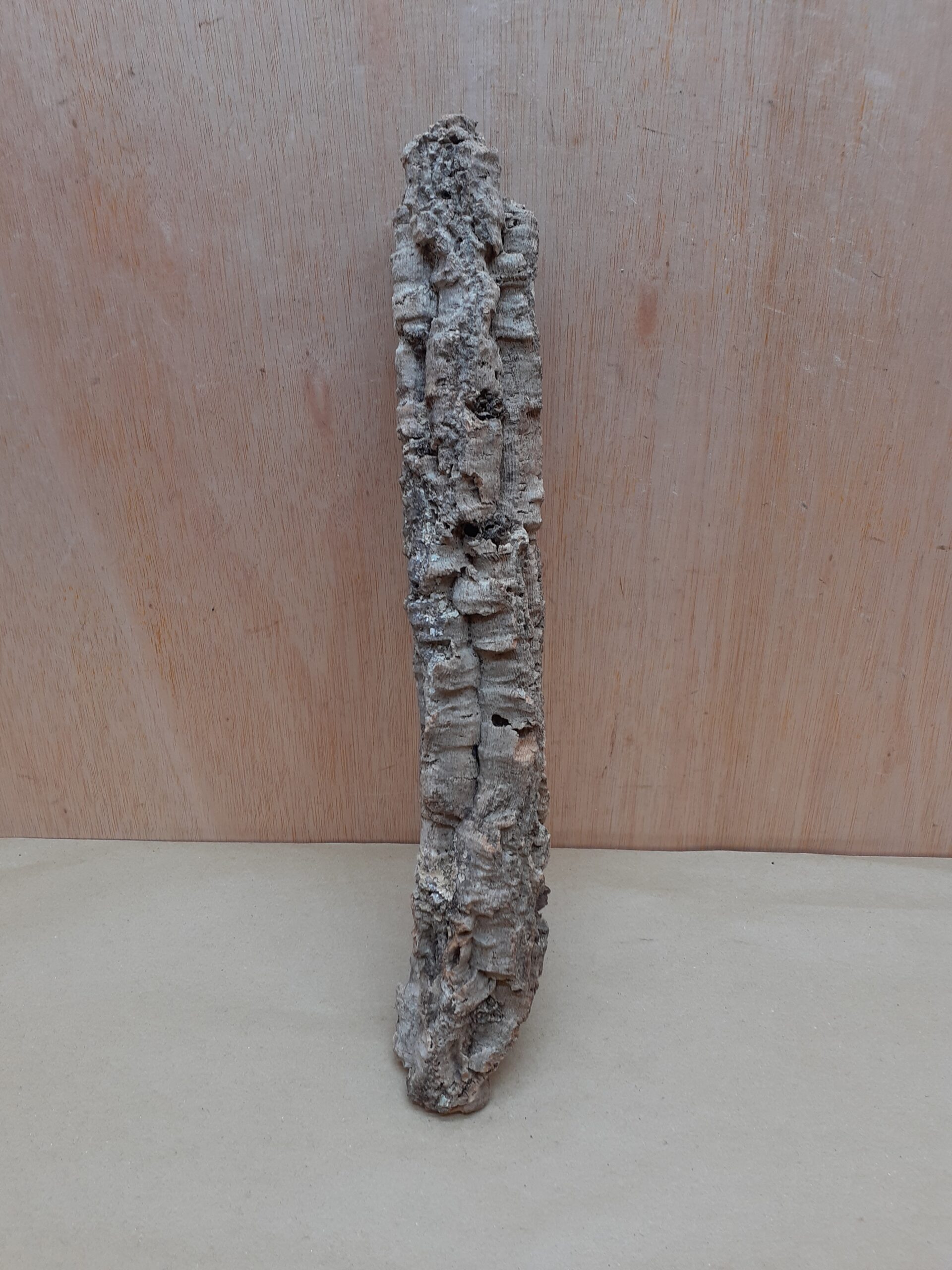 Small Cork Tube - Upto 40cm - 29