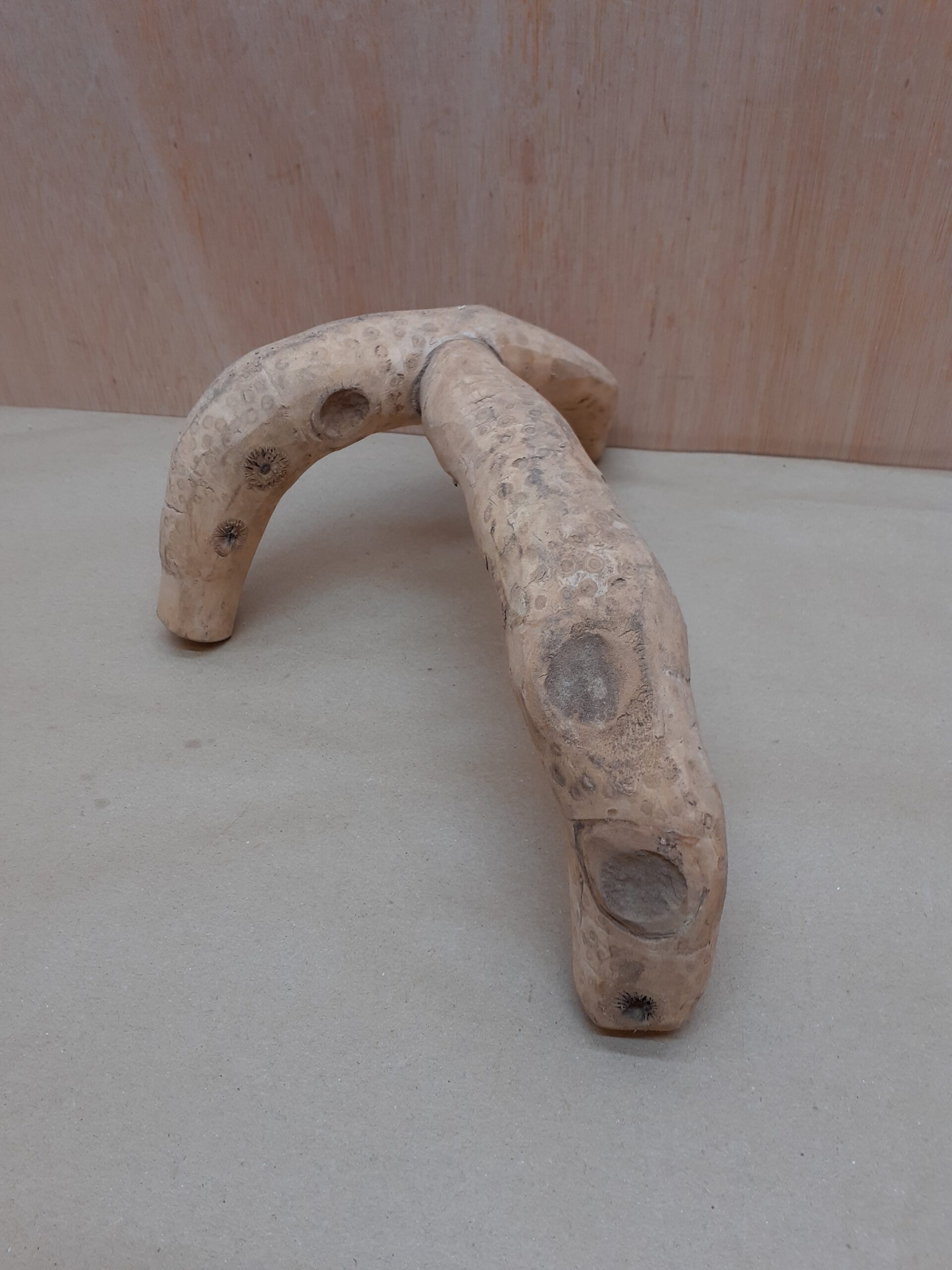 Bamboo Root - Small - 3