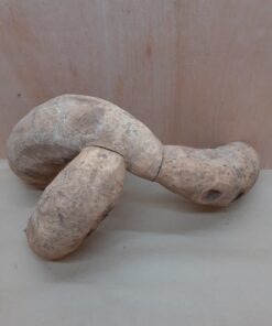 Bamboo Root - XL - 2