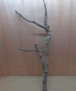 Large Cork Branch - 80-110cm - 10