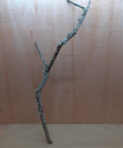 Large Cork Branch - 80-110cm - 13