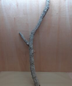 Large Cork Branch - 80-110cm - 13
