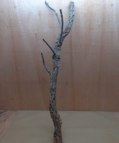 Large Cork Branch - 80-110cm - 21