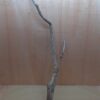 Large Cork Branch - 80-110cm - 21