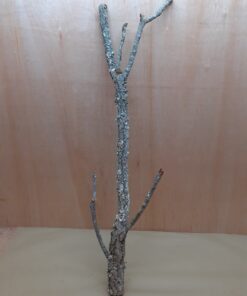 Large Cork Branch - 80-110cm - 9