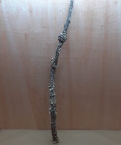 Large Cork Branch - 80-110cm - 5
