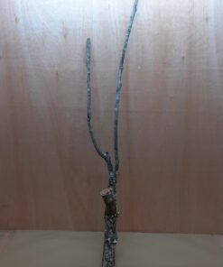 Large Cork Branch - 80-110cm - 15