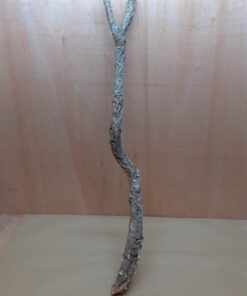 Large Cork Branch - 80-110cm - 14