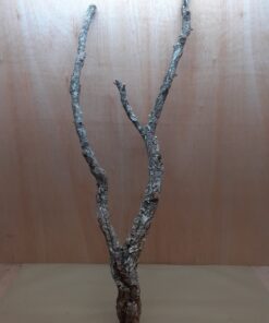 Large Cork Branch - 80-110cm - 14