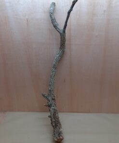 Large Cork Branch - 80-110cm - 6
